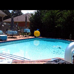 Susan Irvin Photo 18