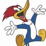 Shawn Draper Photo 17