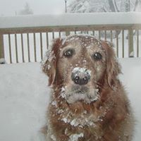 Kathleen Connors Photo 15