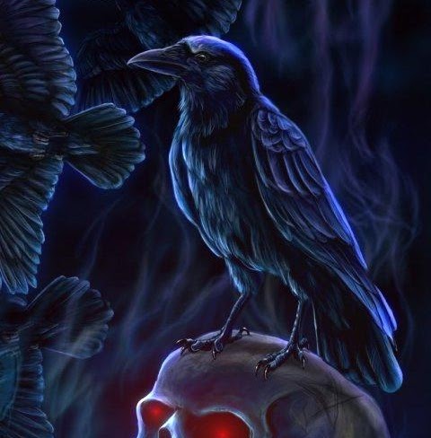 Christopher Clifford Photo 37