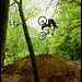 Daryl Brown Photo 41
