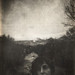 Tom Lay Photo 6