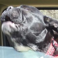 Doris Harmon Photo 21