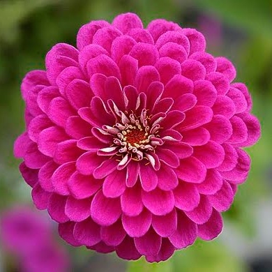 Meredith Schaefer Photo 5