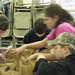 Lori Mccoy Photo 13