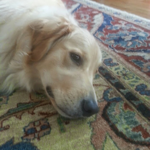 Stephen Sherman Photo 27