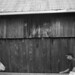 William Fielder Photo 8
