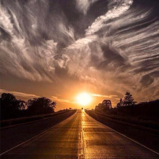 Dawn Powell Photo 18