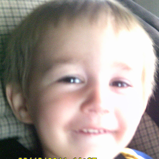 Julia Carlson Photo 25 Julia Carlson Photo 25