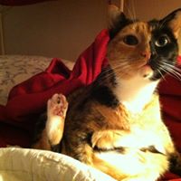 Tracey Glover Photo 19