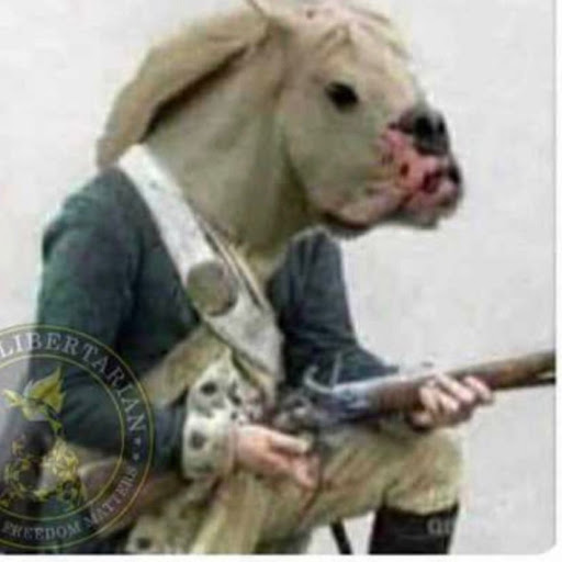 Lisa Hatcher Photo 12