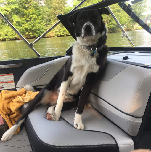 Thomas Wiley Photo 19