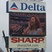 Shea Kelly Photo 18