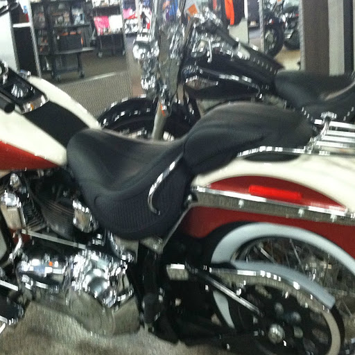 Cathy Horton Photo 5