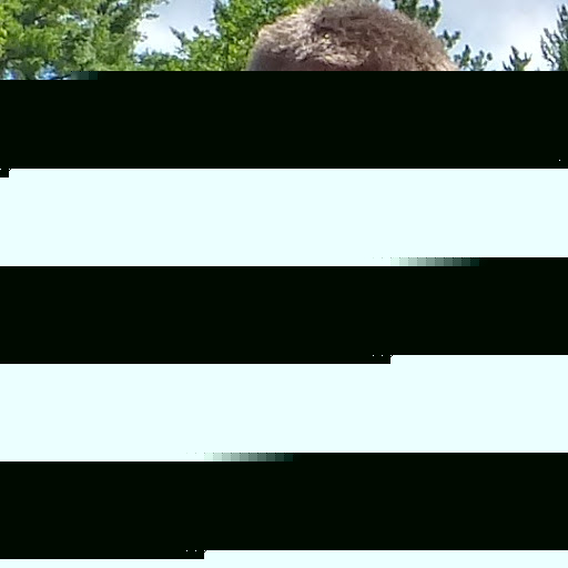 Brian Schultz Photo 26 Brian Schultz Photo 26