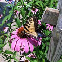 Cathy Beatty Photo 23