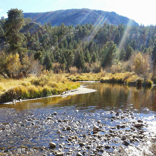 Jane Crossen Photo 1