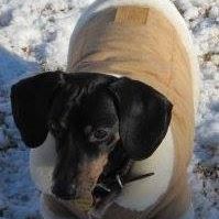 Brooks Marshall Photo 11