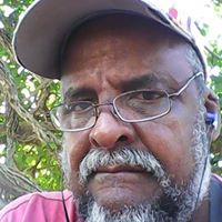 Tracy Major Photo 34