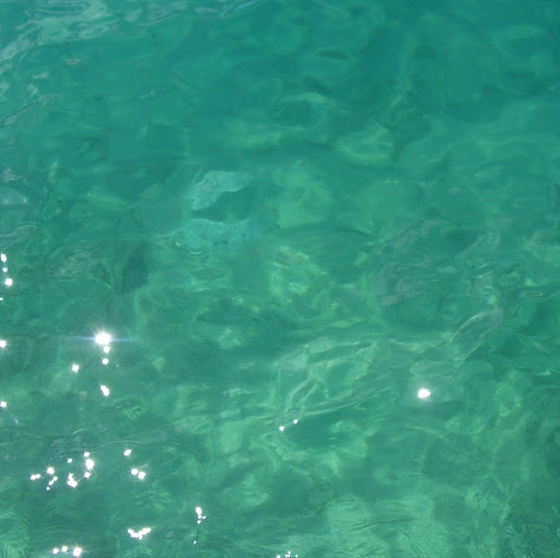 Geraldine Walsh Photo 38