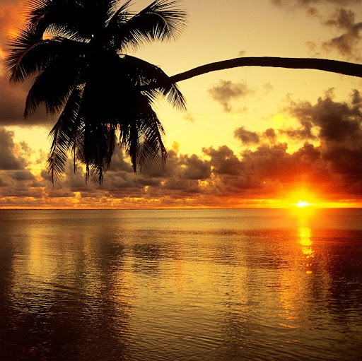 Daniel Hoff Photo 36