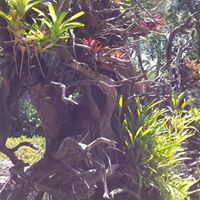 Sarah Waddell Photo 5