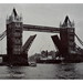 Paul Grandon Photo 6