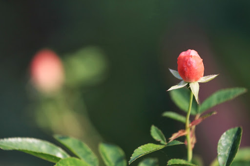 Mark Cheng Photo 11 Mark Cheng Photo 11