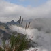Son Cao Photo 22