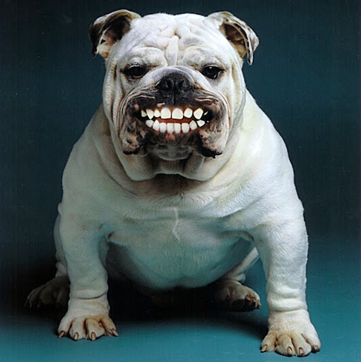 Jack Jenkins Photo 30