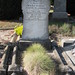Mark Weakley Photo 9