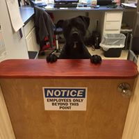 John Forrest Photo 21 John Forrest Photo 21