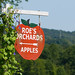 Susan Roe Photo 18