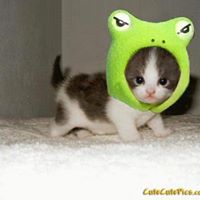 Janet Goforth Photo 5