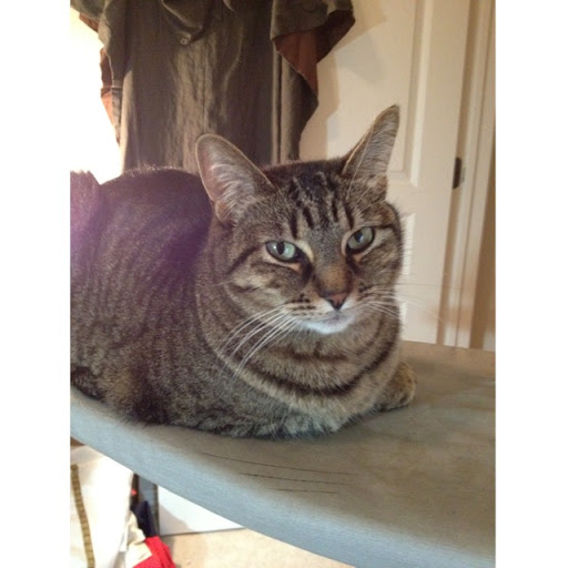 Laura Rutledge Photo 32 Laura Rutledge Photo 32