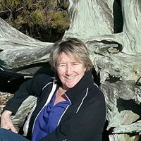 Jill Dillon Photo 18