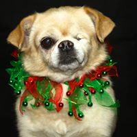 Kristin Regan Photo 21