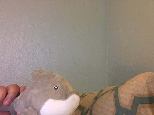 Edward Flores Photo 42