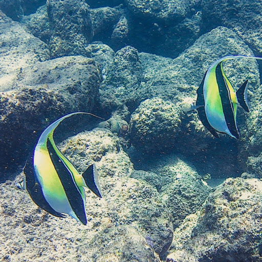 Ashley Albright Photo 8