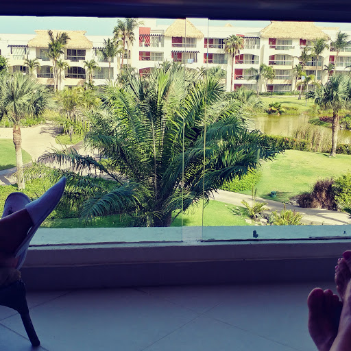 Shelly Collins Photo 20