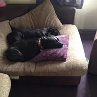 Jane Mcneill Photo 17