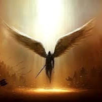 Troy Pearson Photo 14