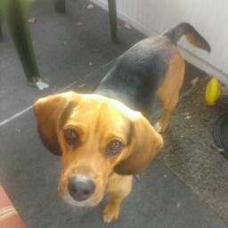 Kathy Kincaid Photo 21