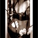 Kelly Ware Photo 21