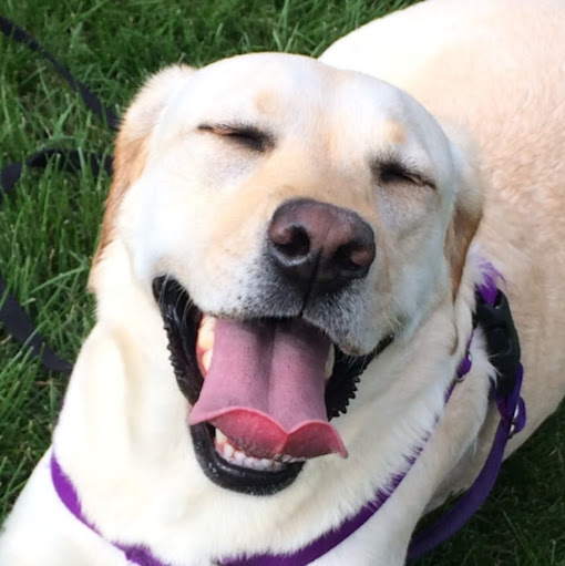 Robert Ryder Photo 18