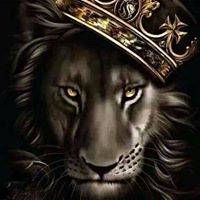 Jeremy Middleton Photo 26