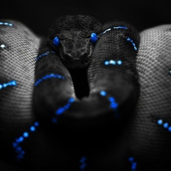 Chris Atwell Photo 3