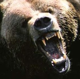 Joe Rodgers Photo 38