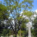 John Bradford Photo 36