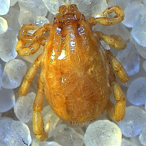 Brian Rich Photo 29 Brian Rich Photo 29